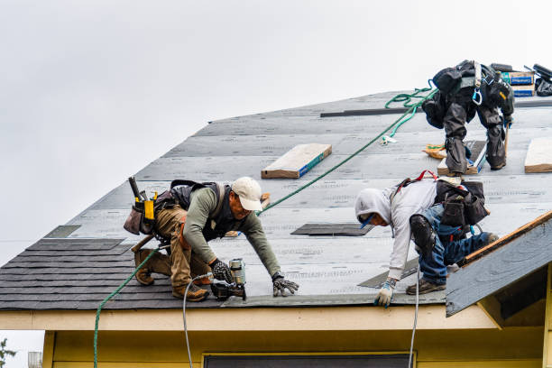 Professional Roof Installation technician working in Adams Basin, NY